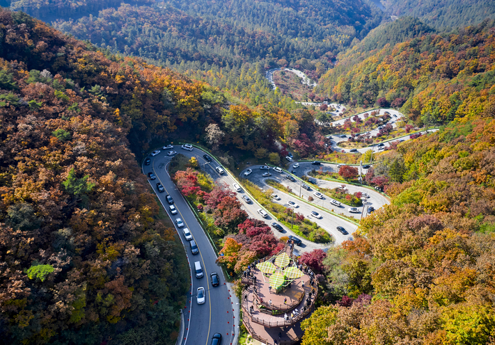 보은 속리산테마파크모노레일 이미지 6