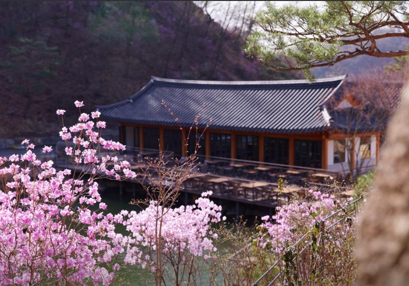 광주 화담숲 모노레일 이미지 5