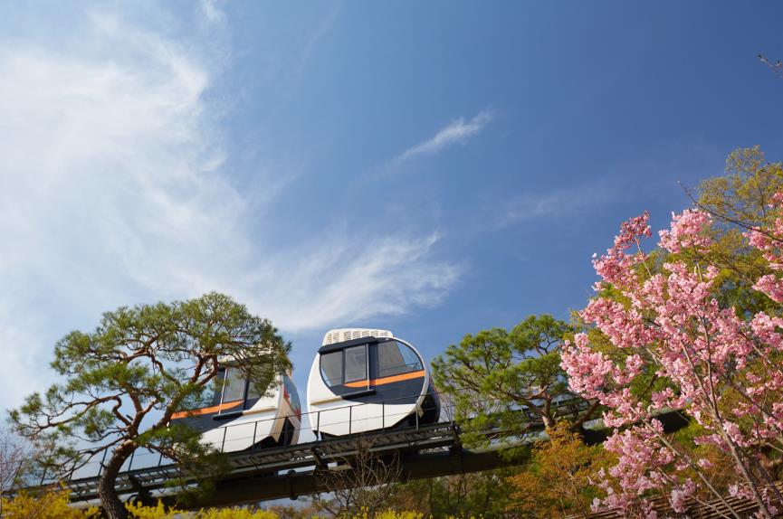 광주 화담숲 모노레일 이미지 4