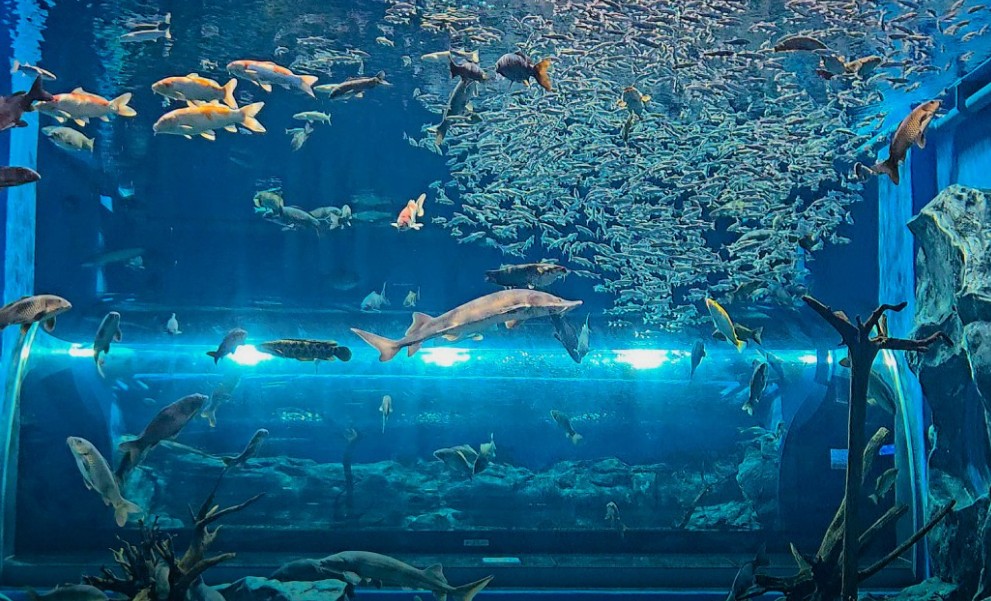 충북 괴산아쿠아리움_무료 이미지 8