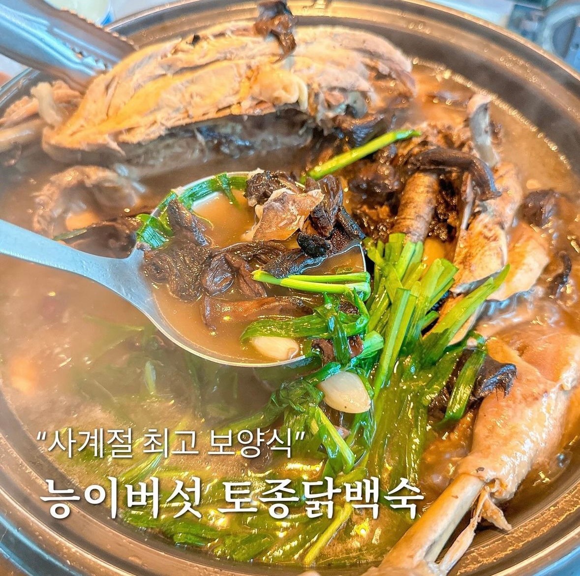살아생전 꼭 가봐야하는 산골가든 이미지 3