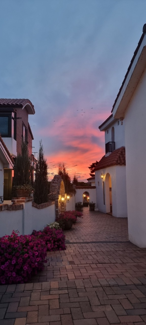 알바노 이미지 6