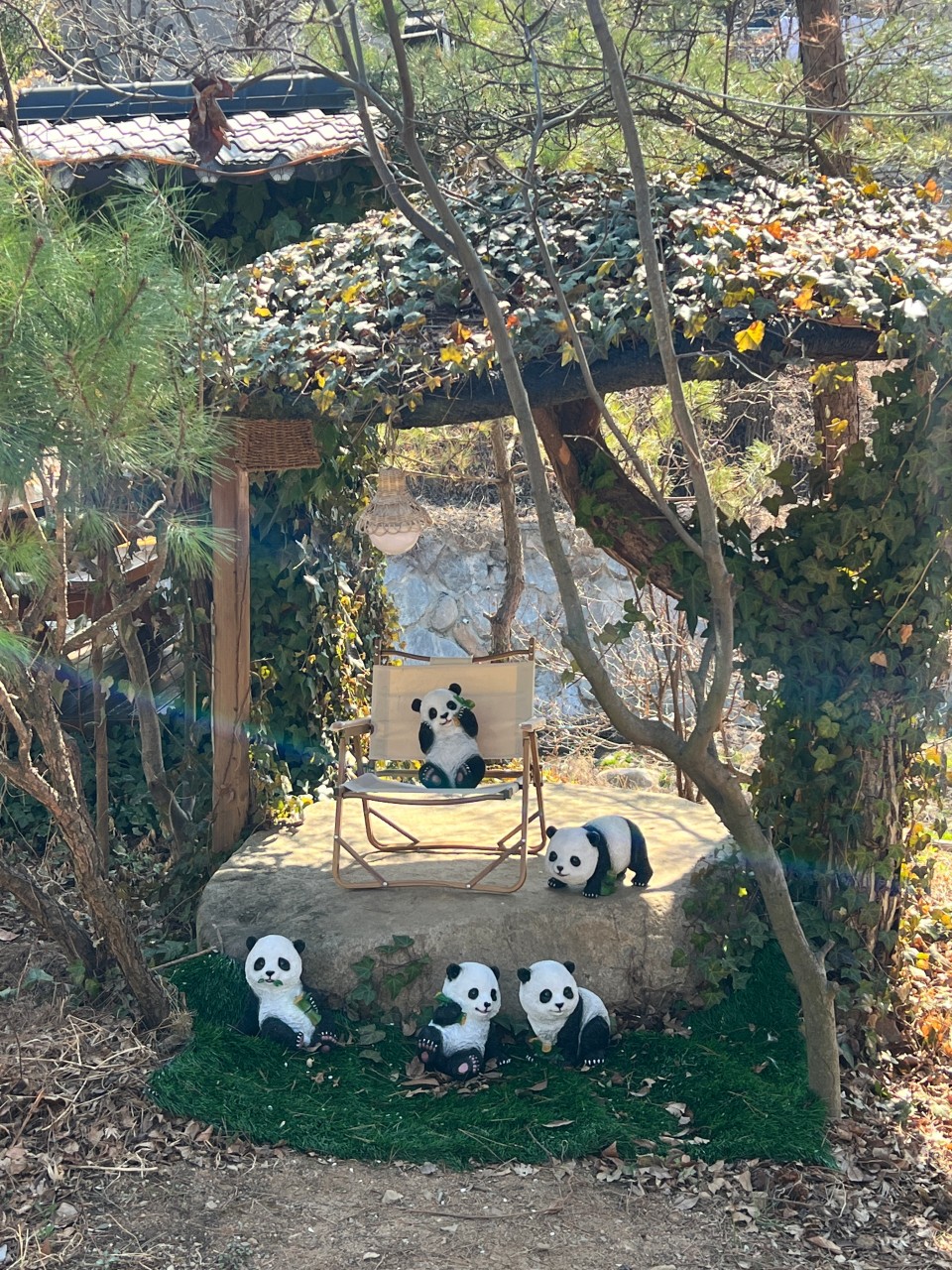 팔공산 토향 이미지 7