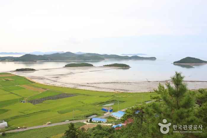 암태도 이미지 5