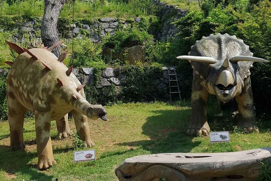 안면도 쥬라기박물관 이미지 4