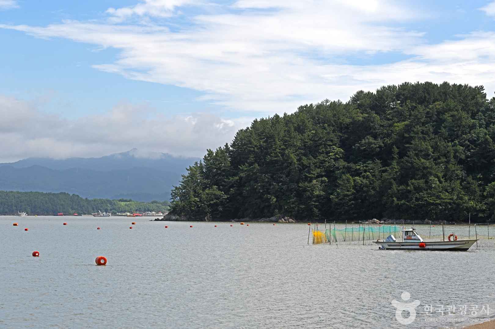 대전해수욕장 이미지 5