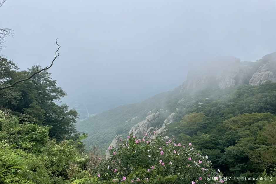 한려해상국립공원(남해) 이미지 3
