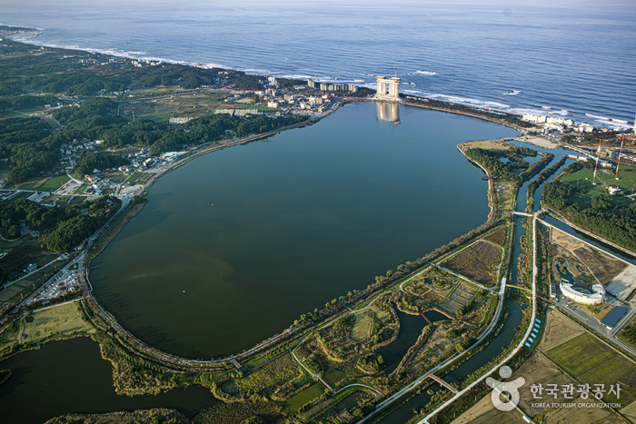 강릉 경포해수욕장 이미지 2