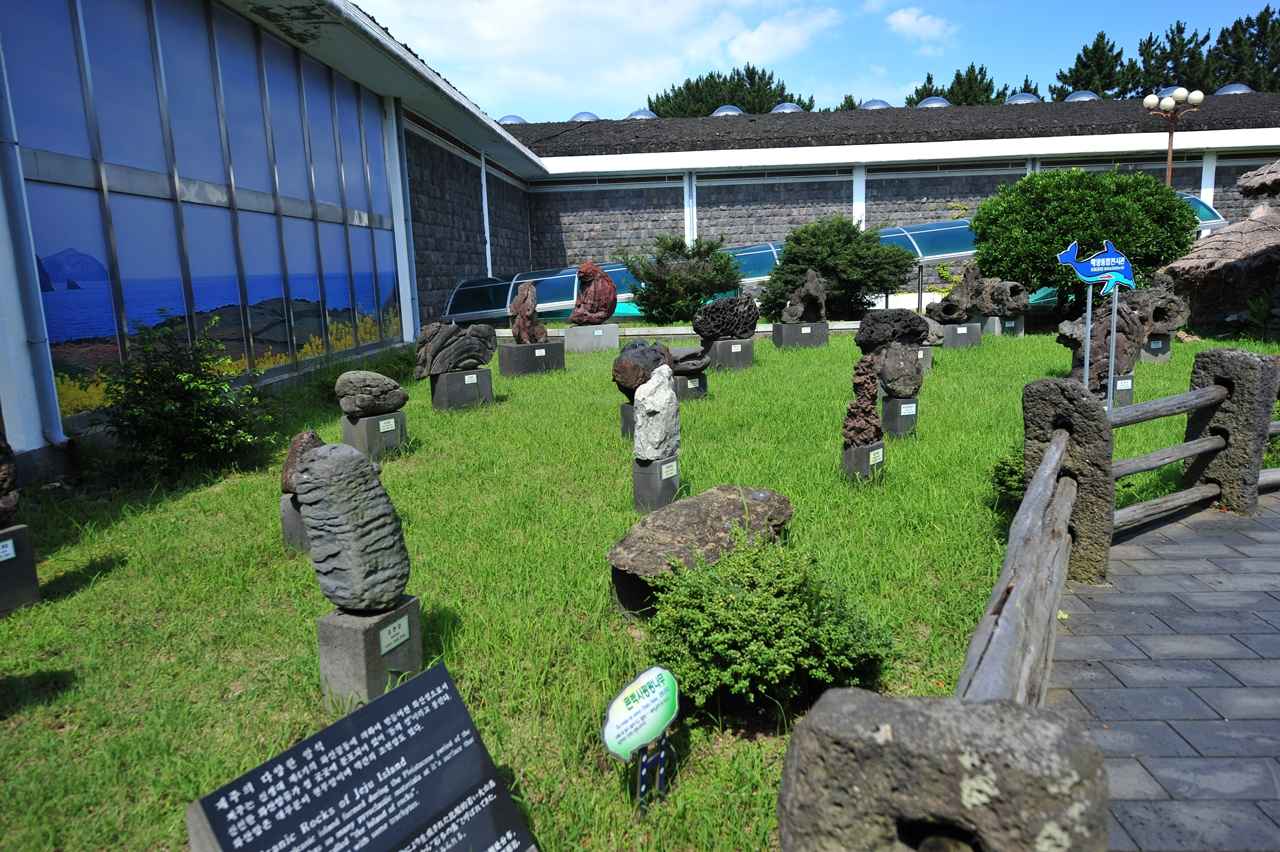 제주도민속자연사박물관 이미지 3