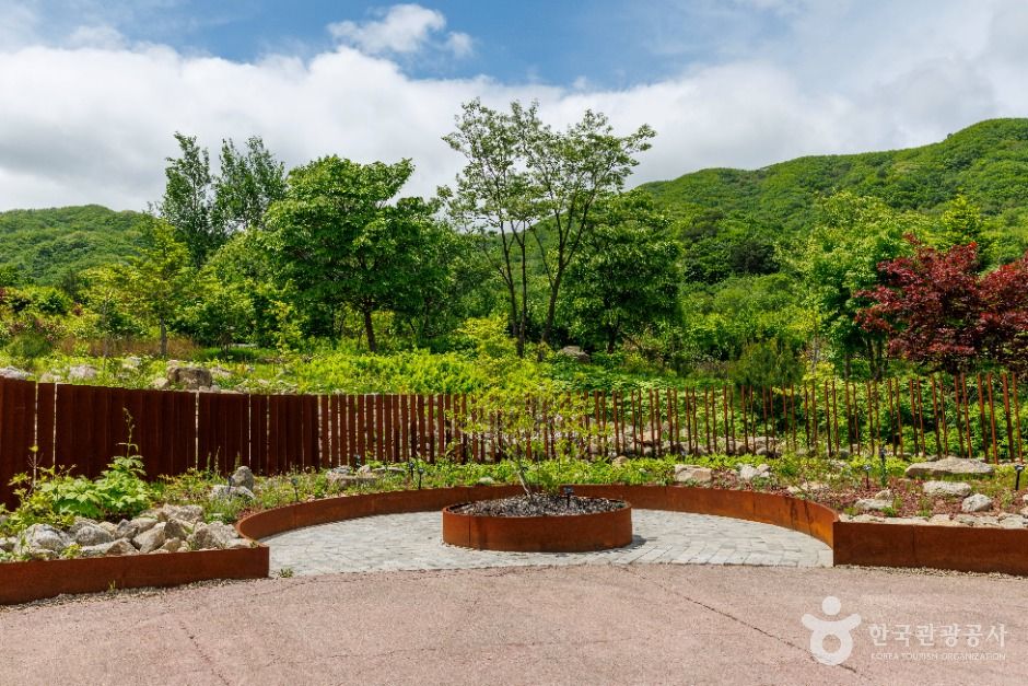 국립DMZ자생식물원 이미지 3