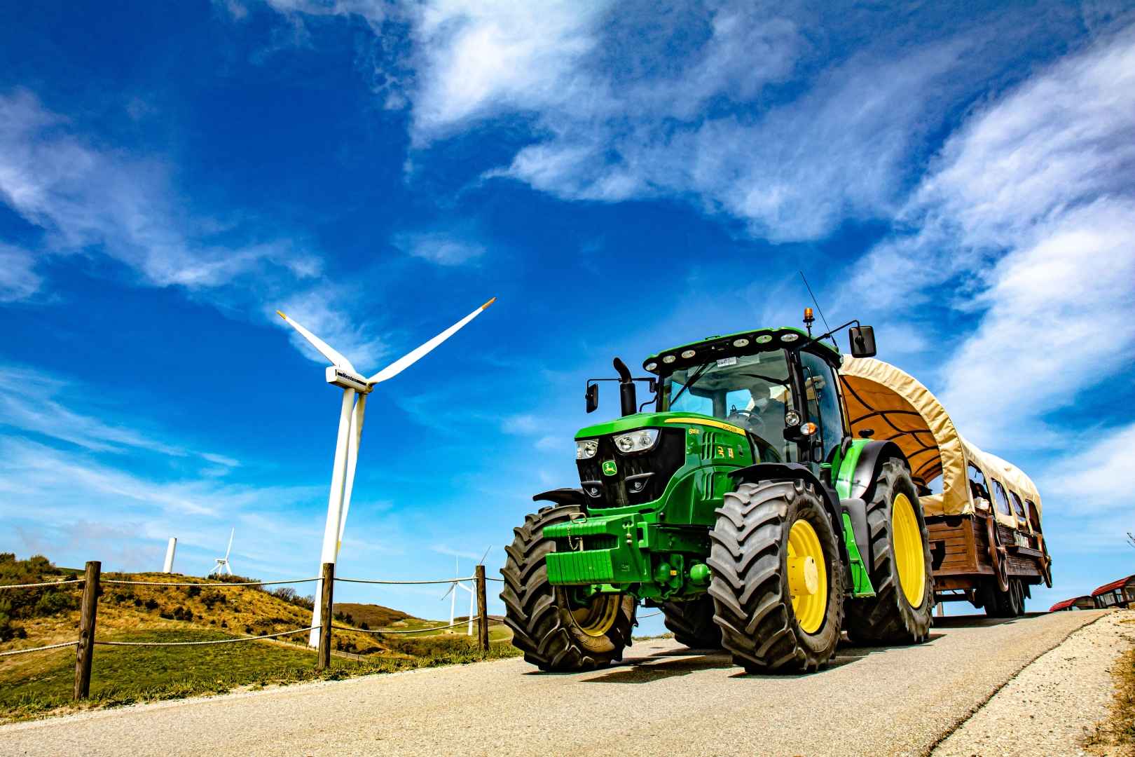 대관령 하늘목장 이미지 5