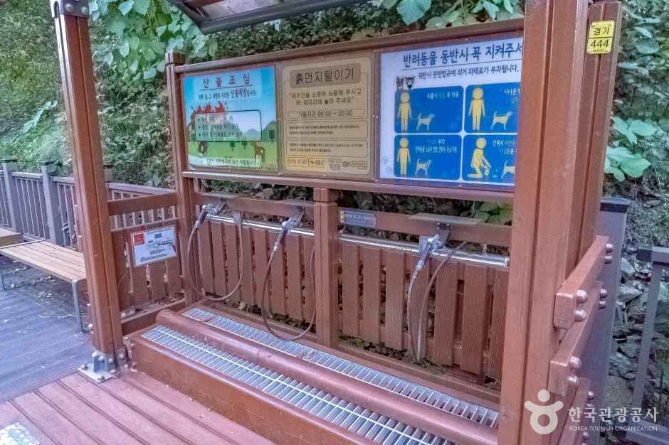 정선 나리소전망대 이미지 5