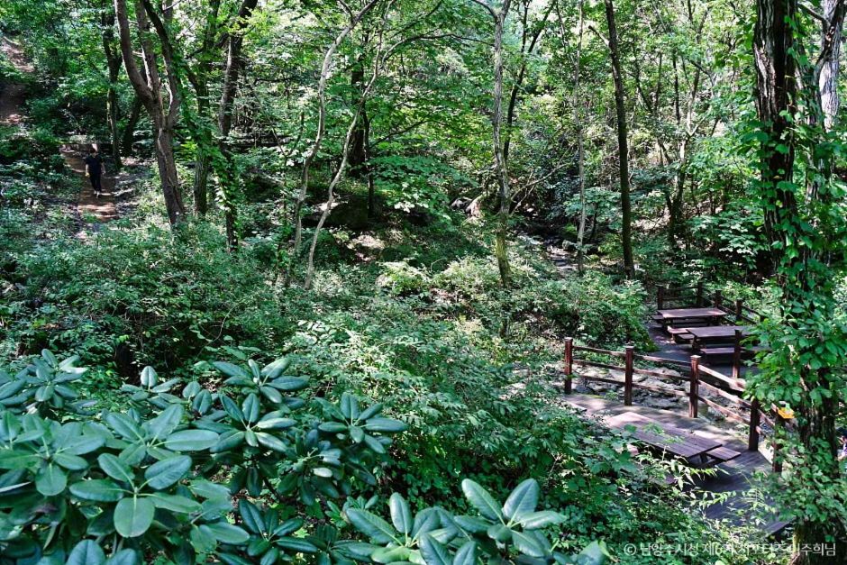 물맑음수목원 이미지 4
