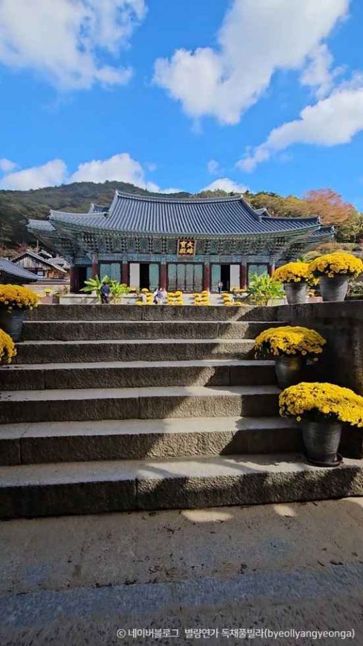 순천 송광사 이미지 5