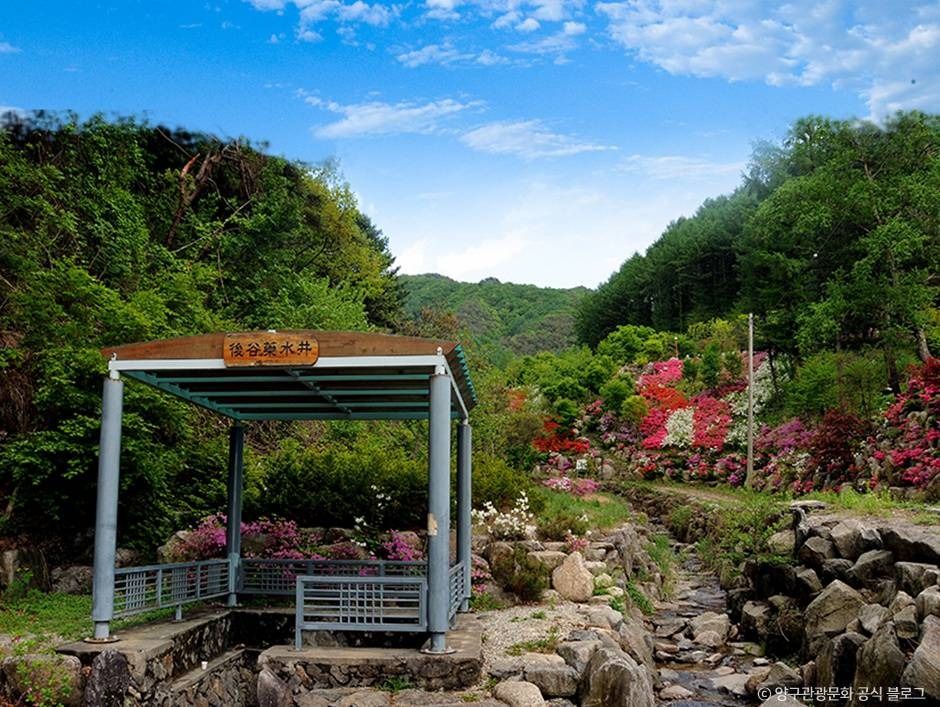 후곡약수터 이미지 1