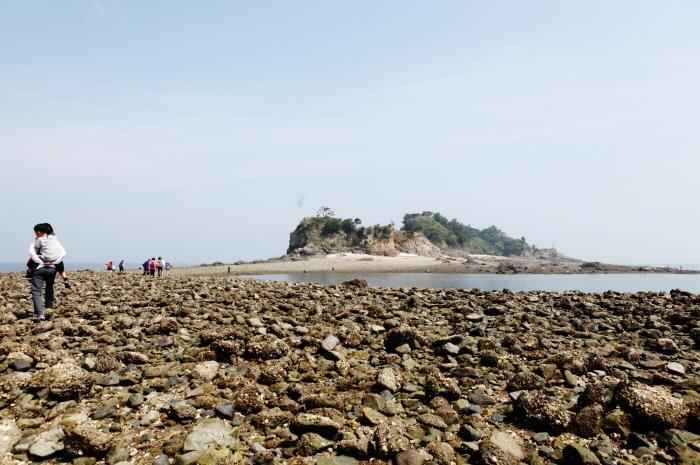 국화도 이미지 3