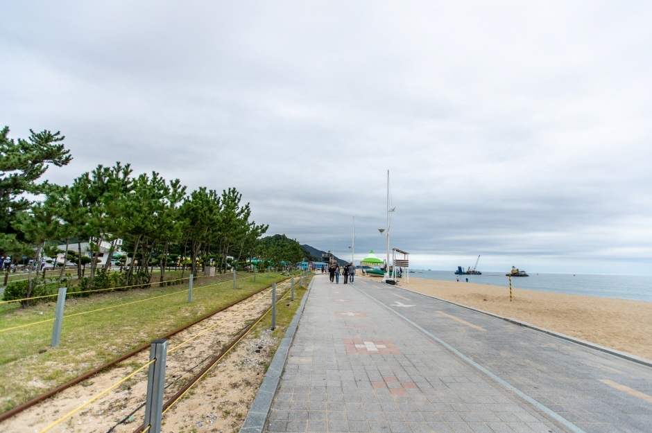 강릉 모래시계공원 이미지 6