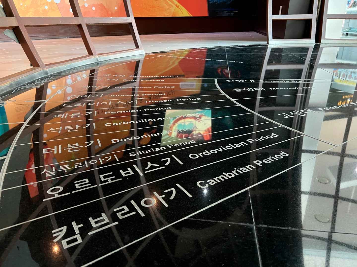 태백 고생대 자연사박물관 이미지 4