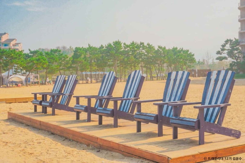 봉포해변 이미지 2