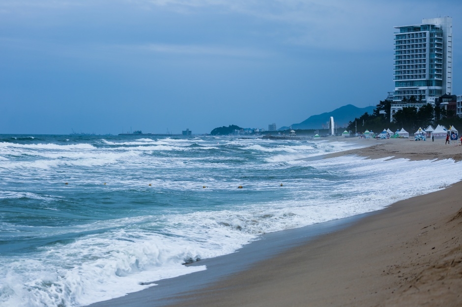 강릉 경포해수욕장 이미지 7