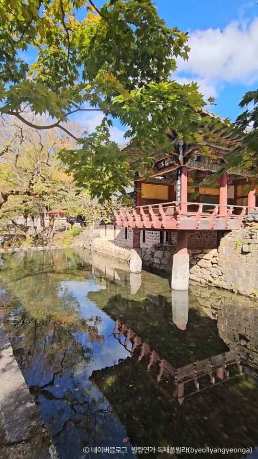 순천 송광사 이미지 3