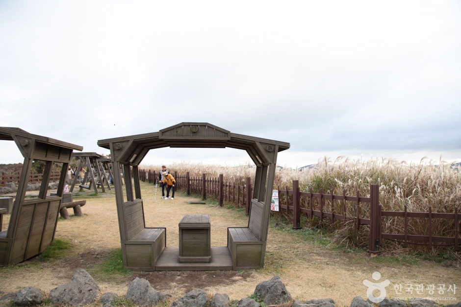 산굼부리 이미지 5