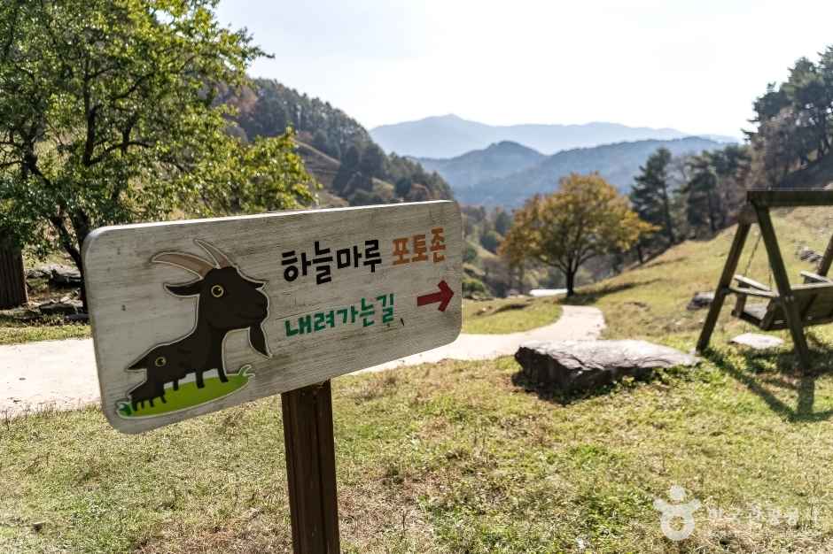 하늘마루염소목장 이미지 4