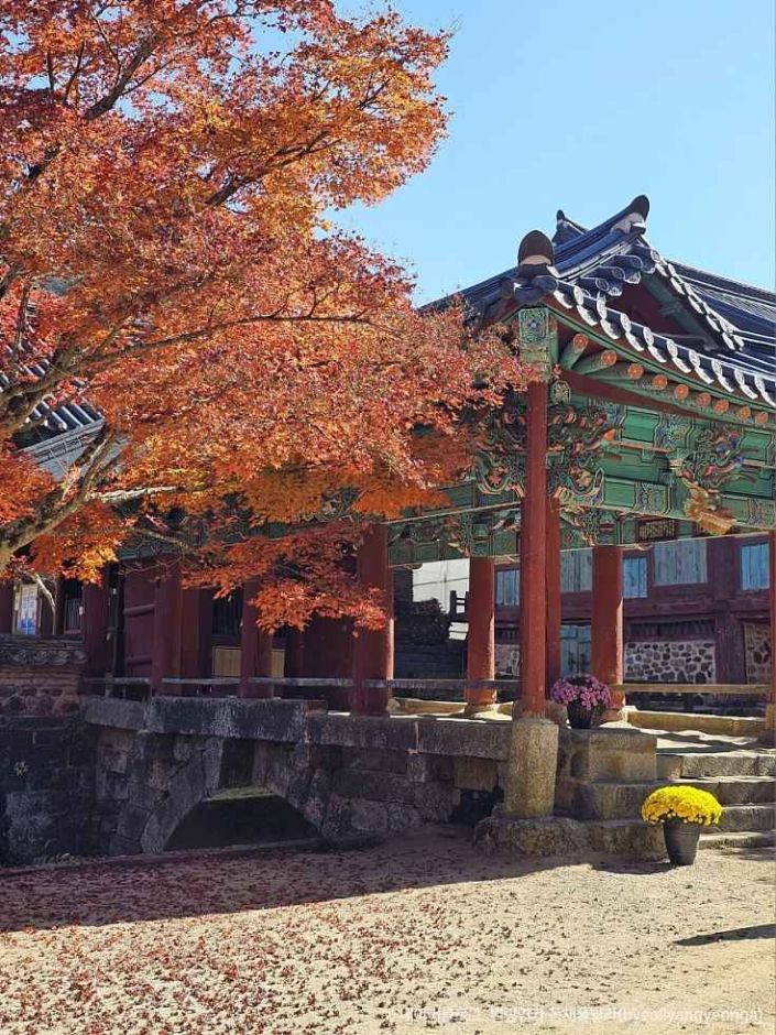 순천 송광사 이미지 2