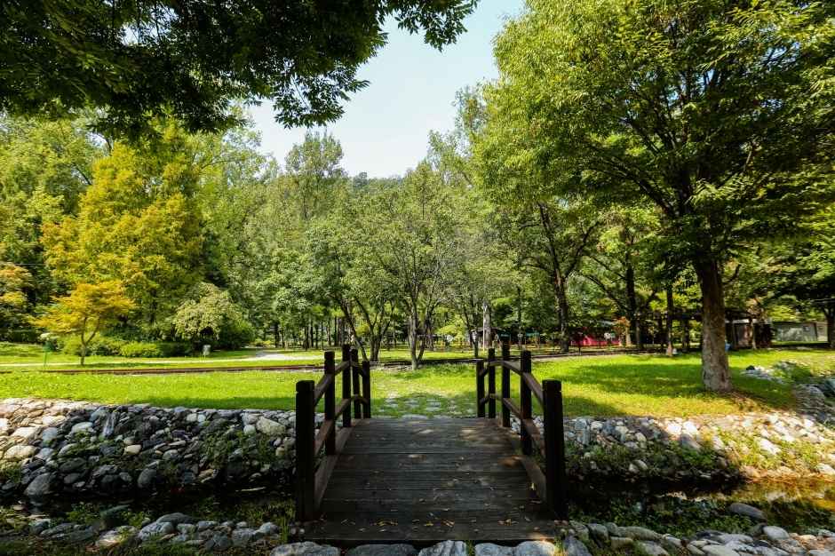 붕어섬 이미지 5