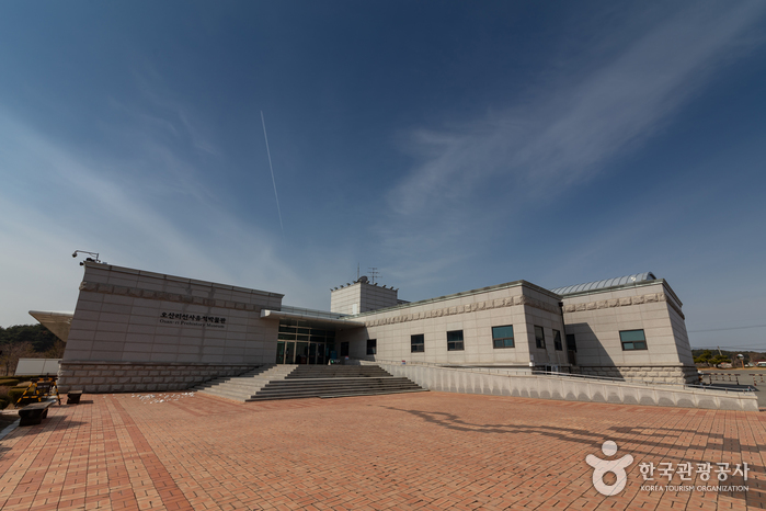 오산리선사유적박물관 이미지 2