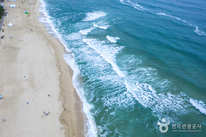 강릉 경포해수욕장 이미지 5