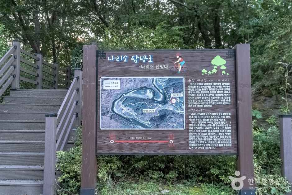 정선 나리소전망대 이미지 4