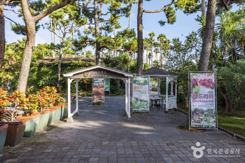 제주 한림공원 이미지 4