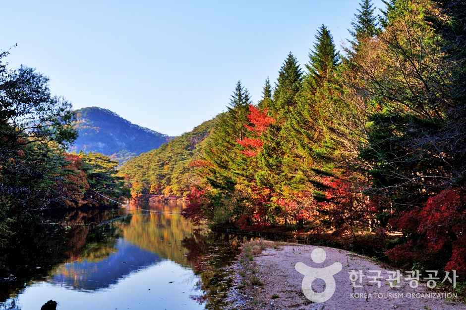 보은 속리산세조길 이미지 3