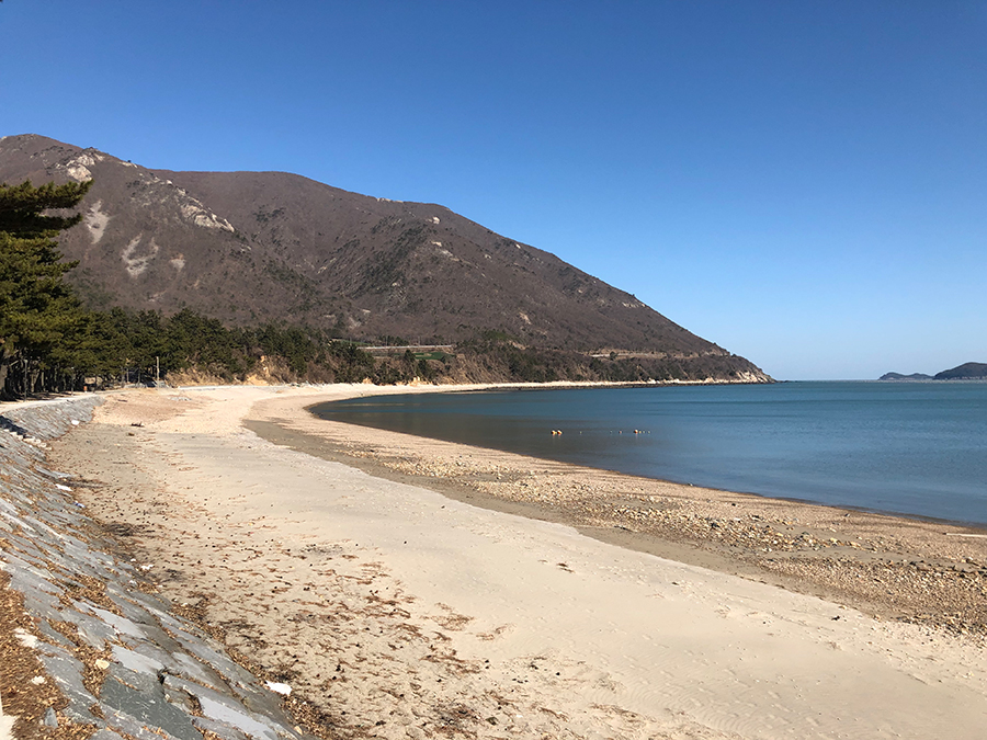 금장해수욕장 이미지 1