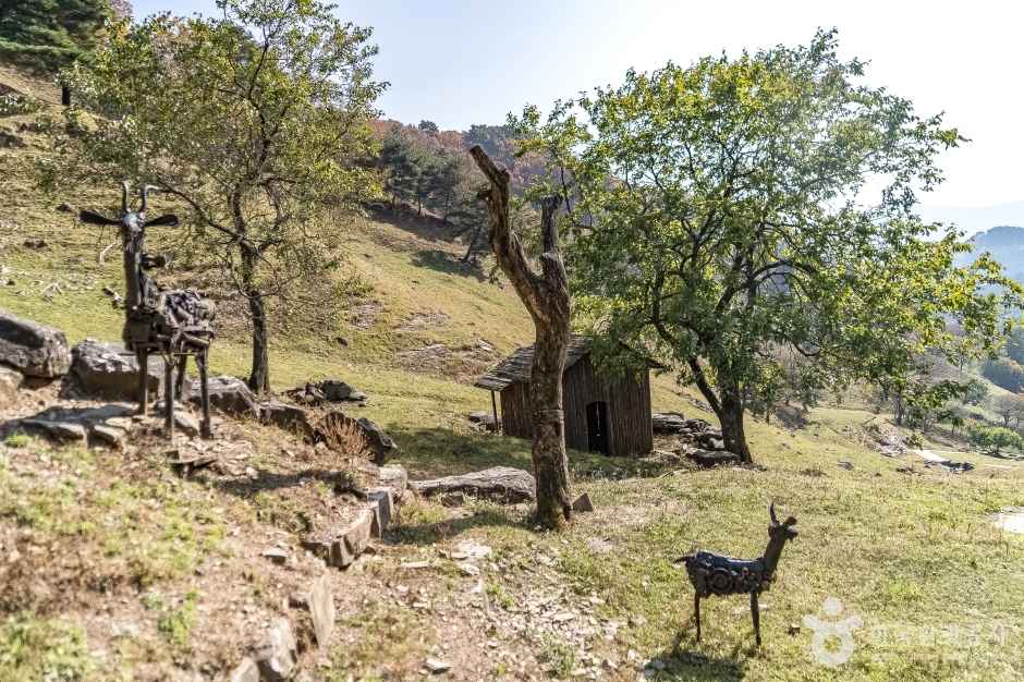 하늘마루염소목장 이미지 1