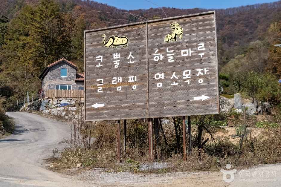 하늘마루염소목장 이미지 6