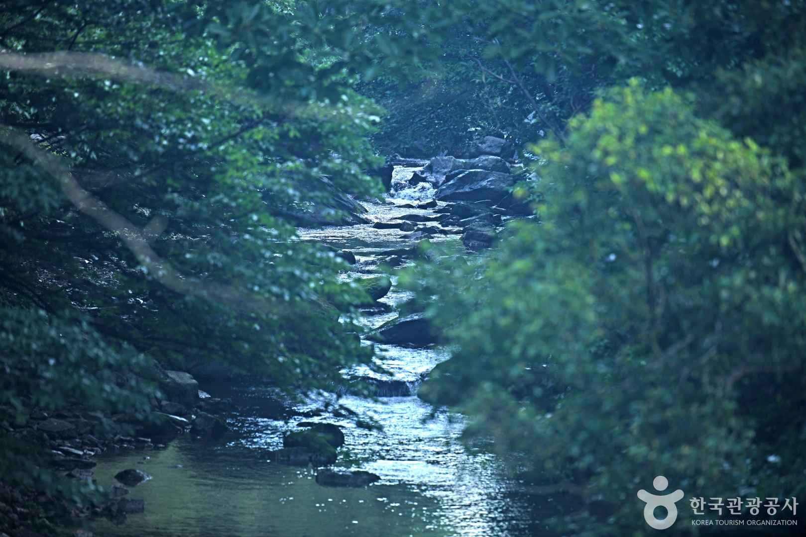 남창계곡 이미지 3
