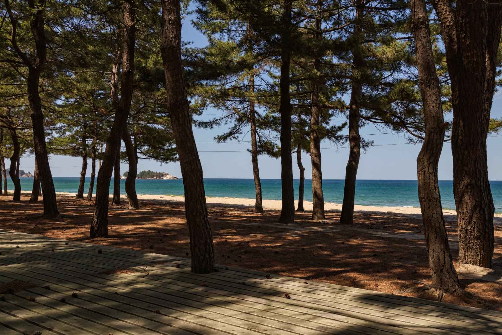 잔교리해수욕장 이미지 6