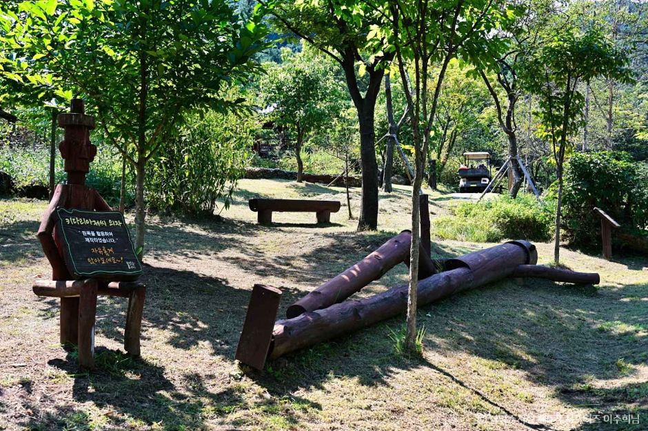 물맑음수목원 이미지 6