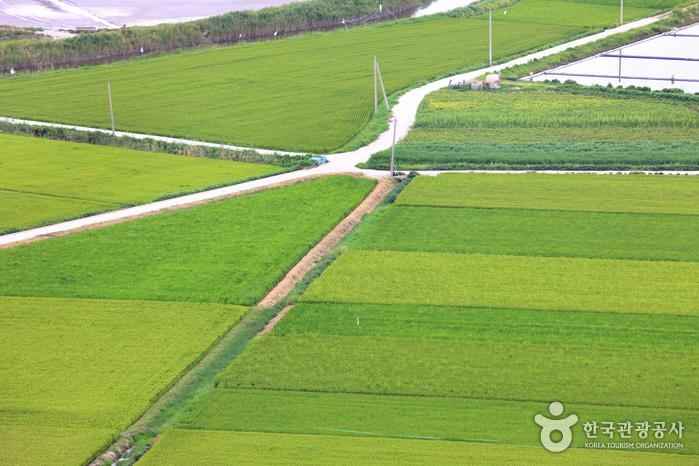 암태도 이미지 7