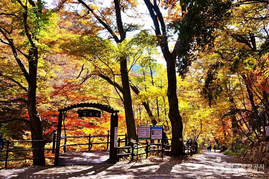 보은 속리산세조길 이미지 1