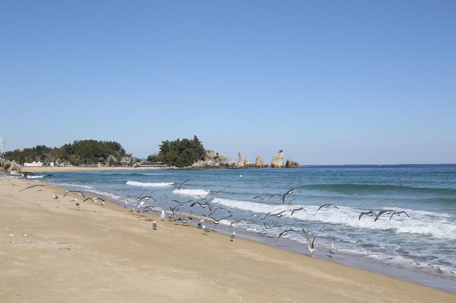 증산해변(증산 해수욕장) 이미지 1