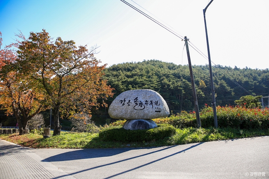 강릉 솔향수목원 이미지 2