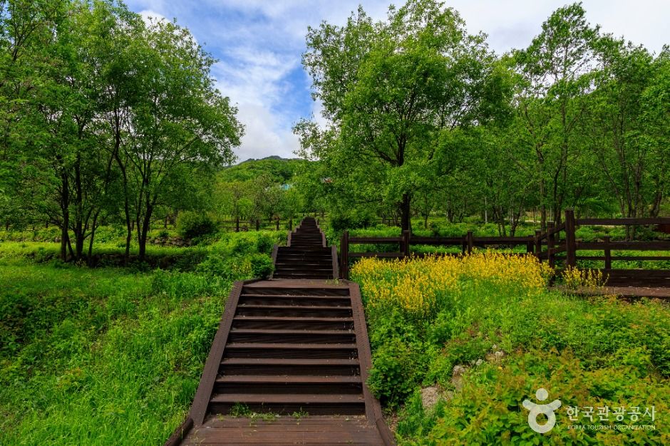 국립DMZ자생식물원 이미지 9