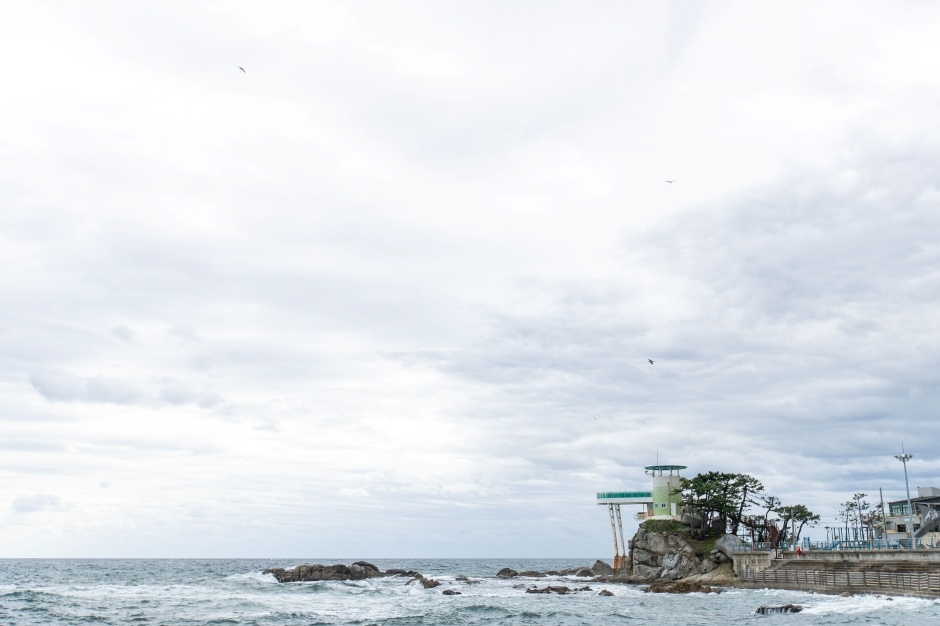 양양 남애항 스카이워크 전망대 이미지 8