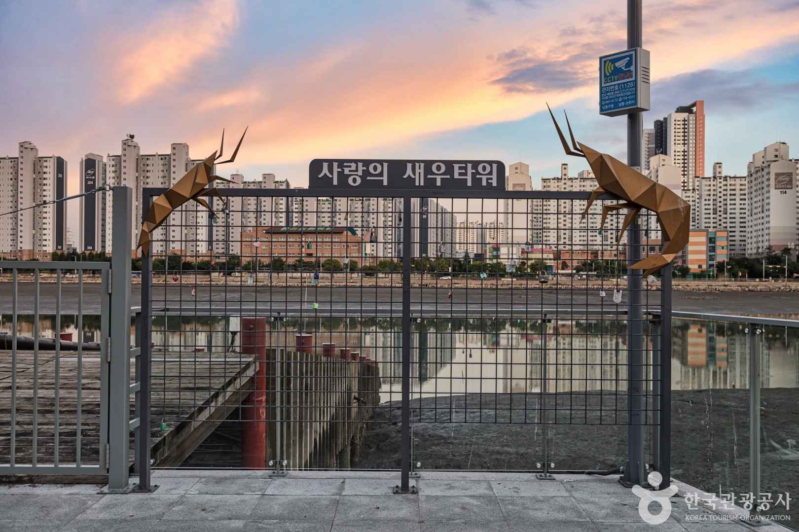 새우타워 전망대 이미지 5