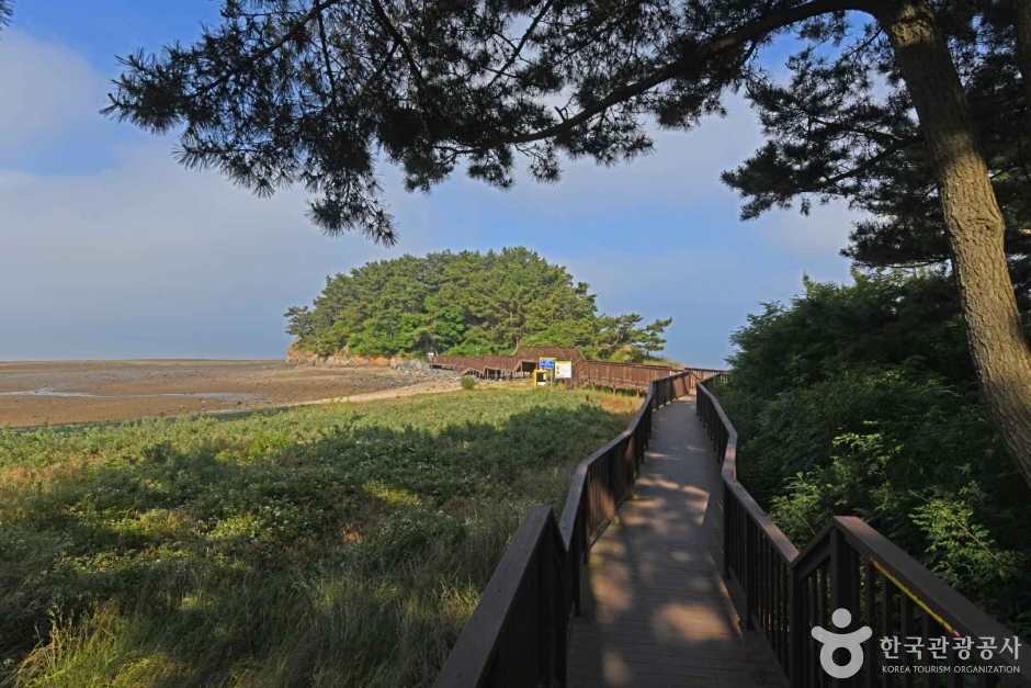 속동전망대 이미지 3