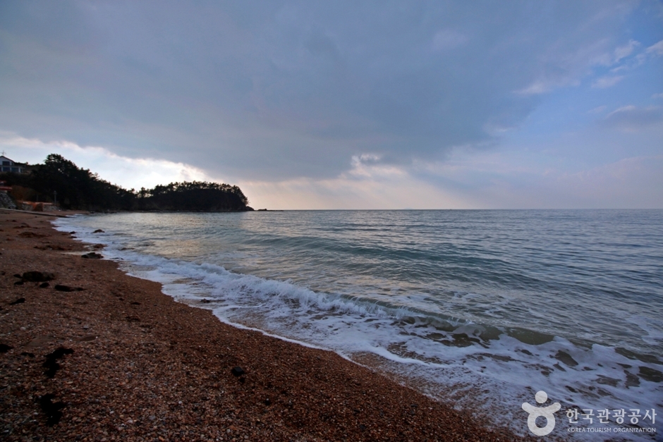 파도리해수욕장 이미지 5