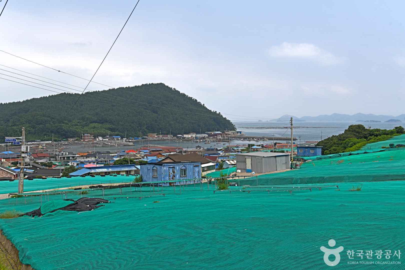 약산도(조약도) 이미지 3